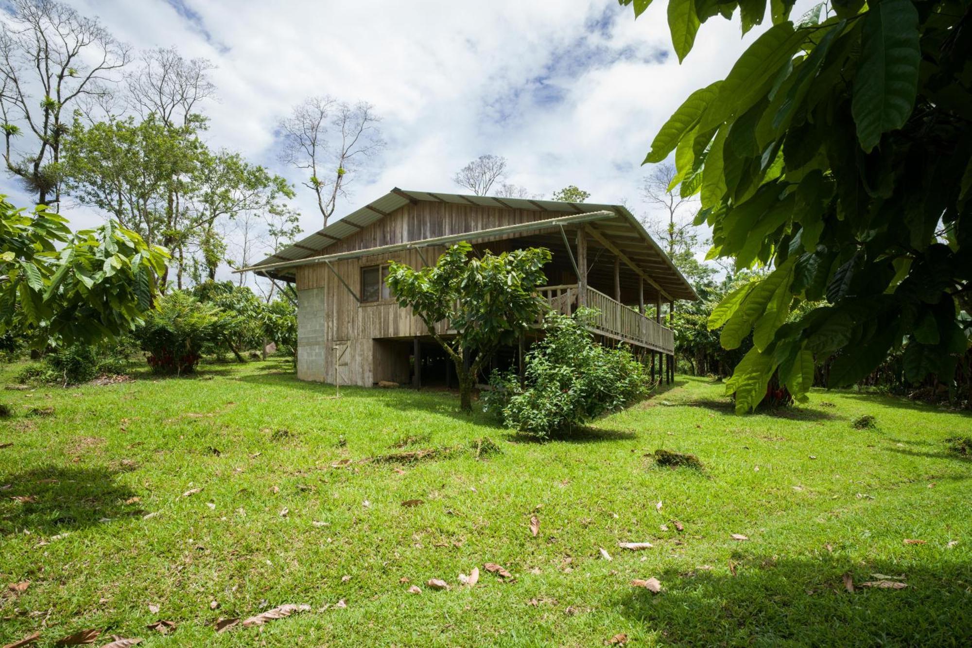 Finca Amistad Cacao Lodge Bijagua Exteriér fotografie