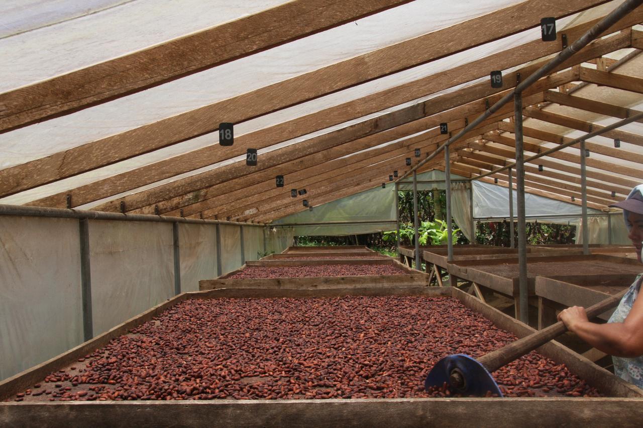 Finca Amistad Cacao Lodge Bijagua Exteriér fotografie