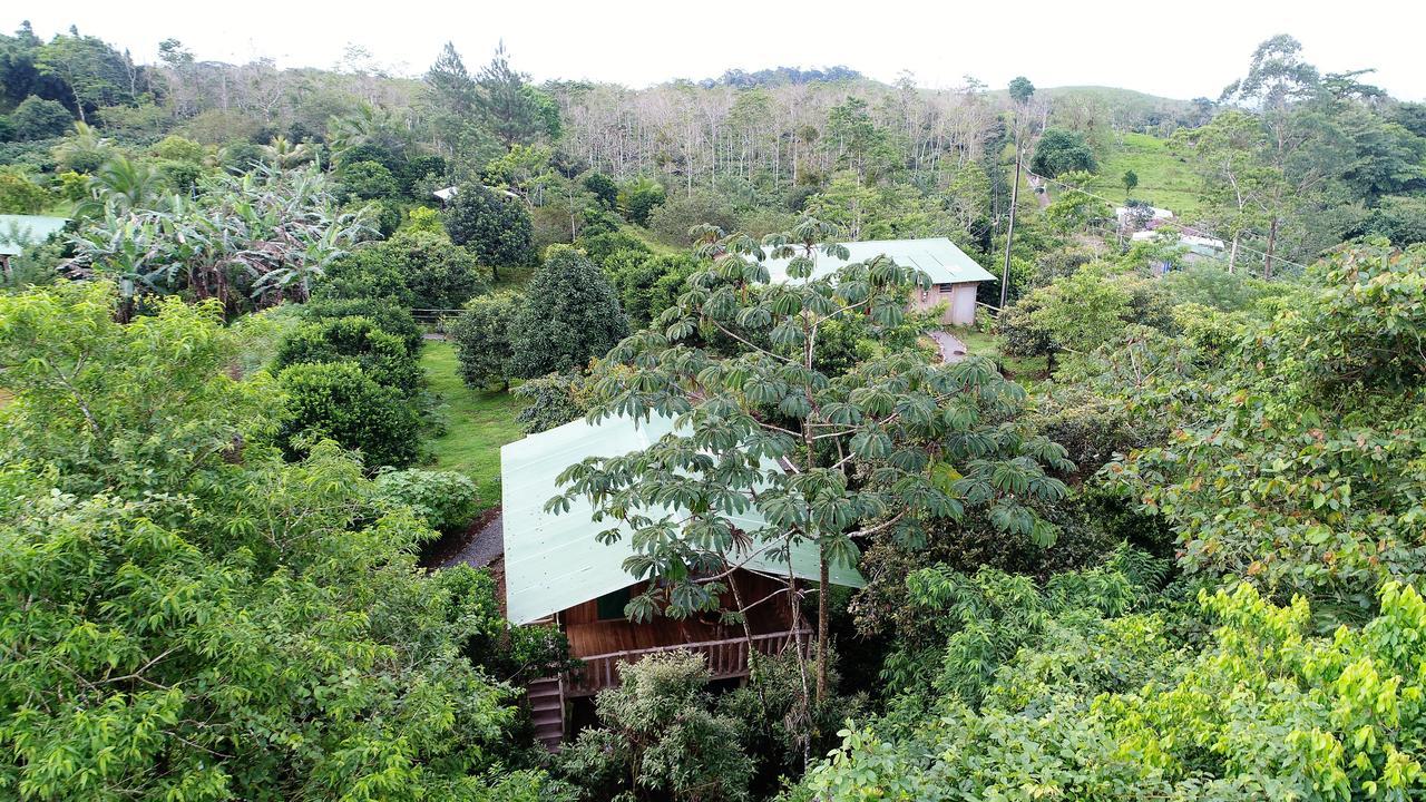 Finca Amistad Cacao Lodge Bijagua Exteriér fotografie