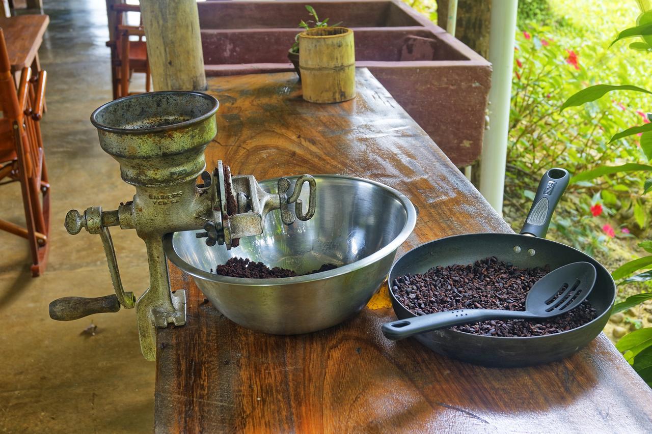 Finca Amistad Cacao Lodge Bijagua Exteriér fotografie