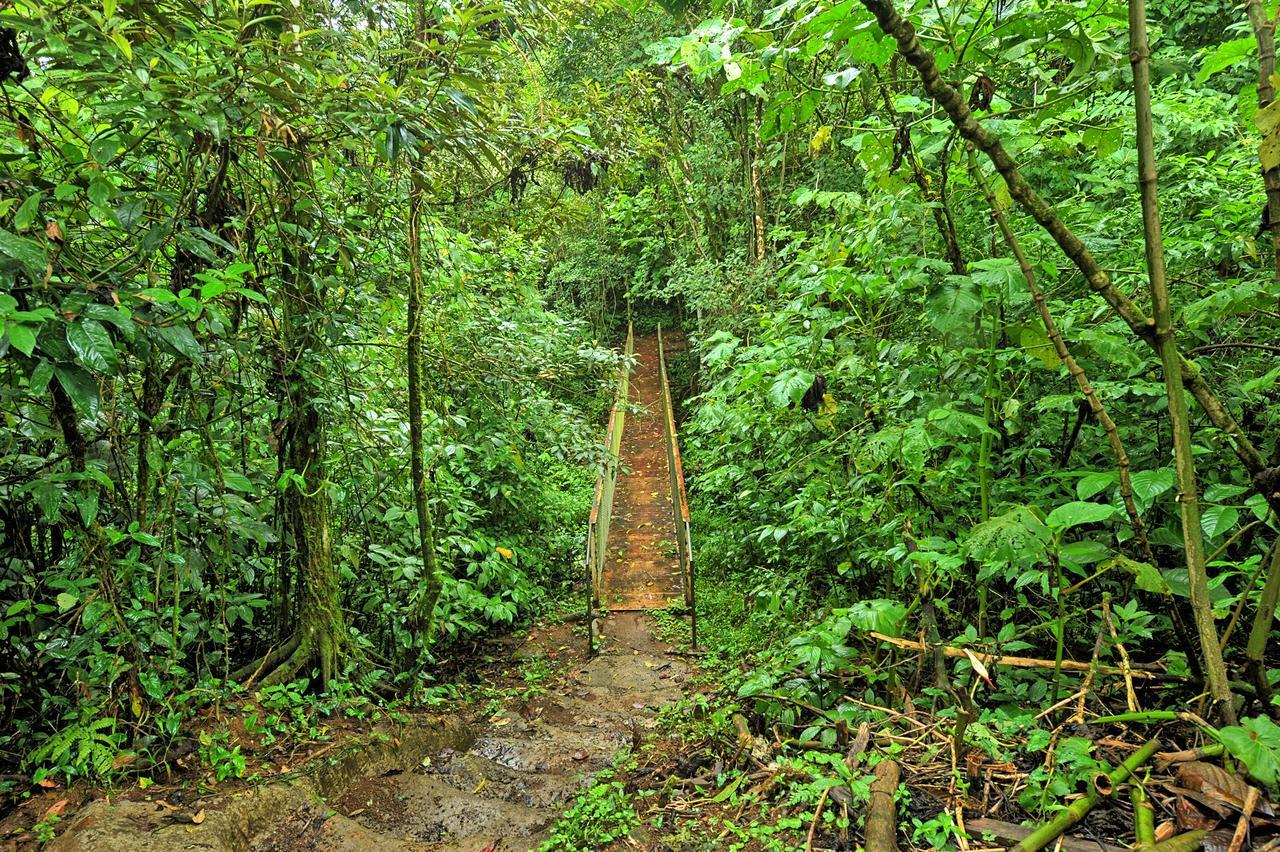 Finca Amistad Cacao Lodge Bijagua Exteriér fotografie