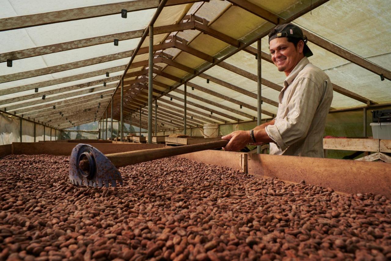 Finca Amistad Cacao Lodge Bijagua Exteriér fotografie